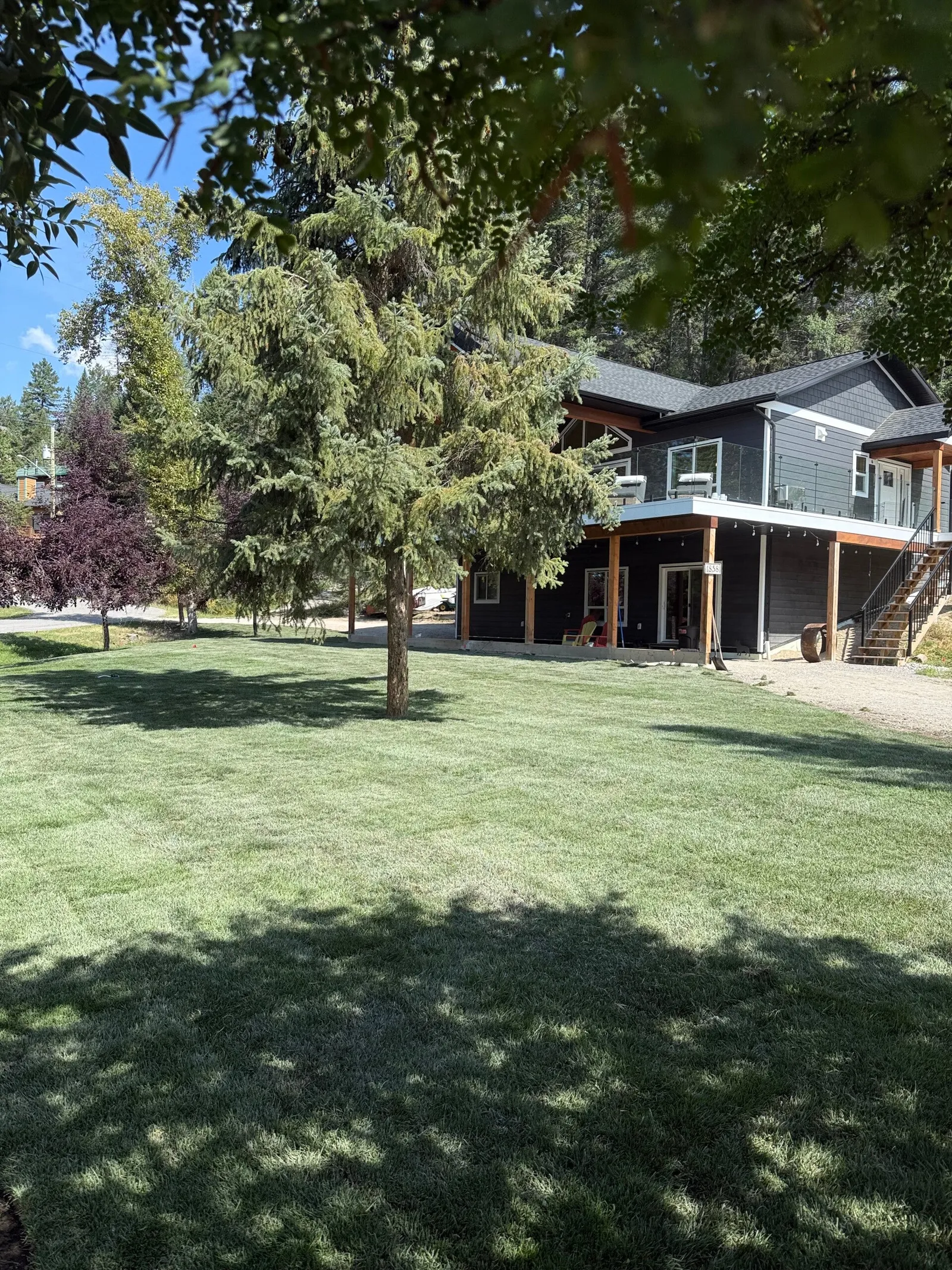 Lush Kentucky bluegrass field at the Kootenay Turf Farm